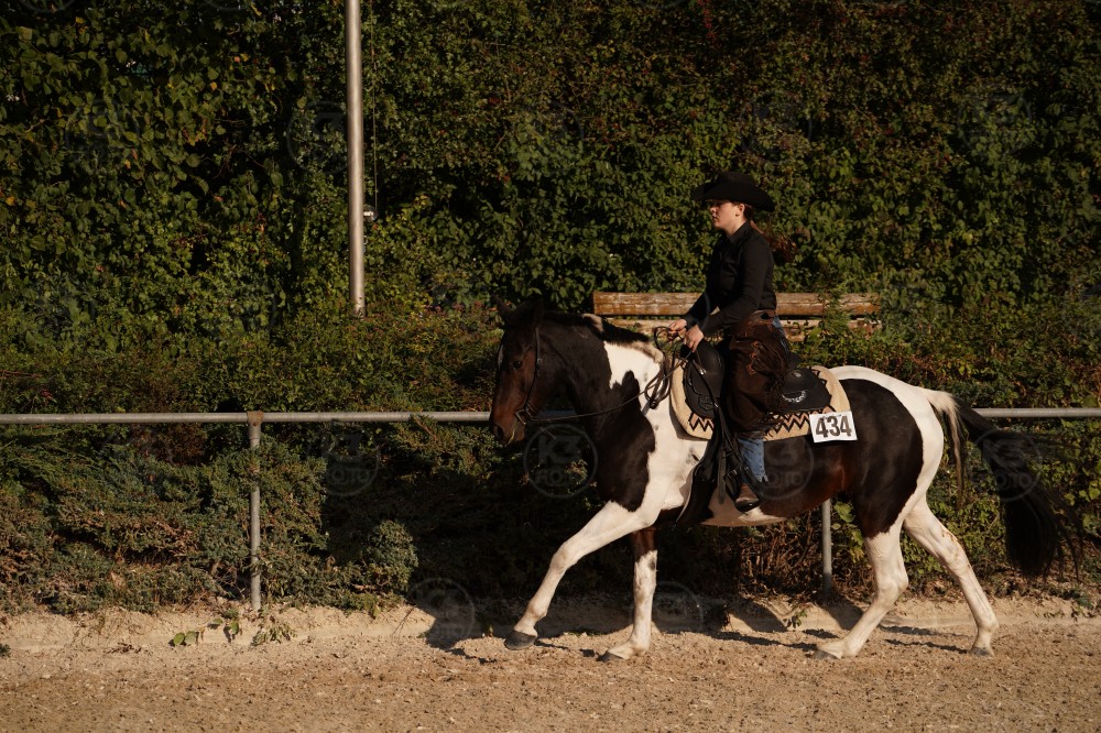 s_A_906718.JPG